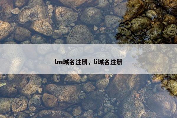 lm域名注册，li域名注册