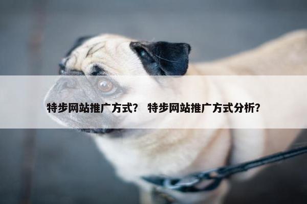 特步网站推广方式？ 特步网站推广方式分析？