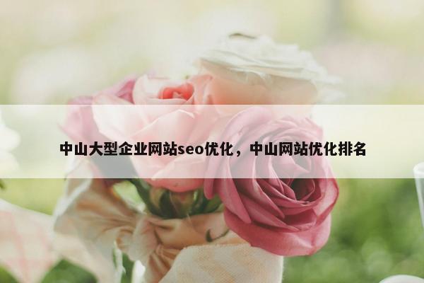 中山大型企业网站seo优化，中山网站优化排名