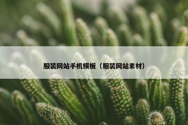 服装网站手机模板（服装网站素材）