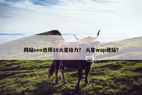 网站seo选择28火星给力？ 火星wap建站？