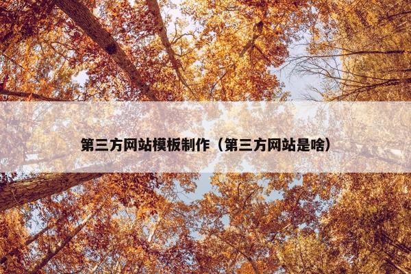 第三方网站模板制作（第三方网站是啥）
