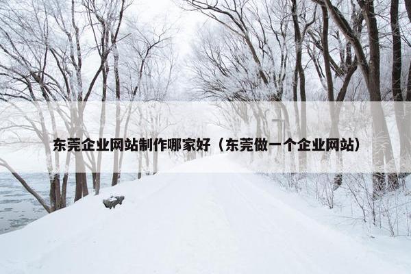 东莞企业网站制作哪家好（东莞做一个企业网站）