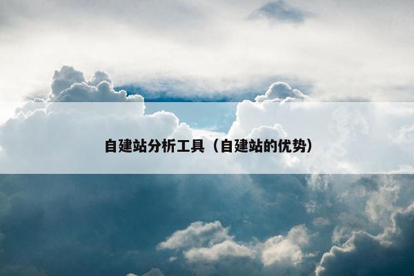 自建站分析工具（自建站的优势）