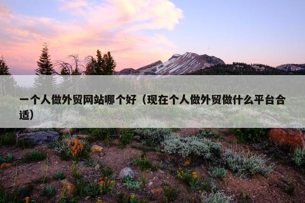 一个人做外贸网站哪个好（现在个人做外贸做什么平台合适）