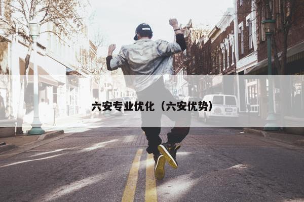 六安专业优化（六安优势）