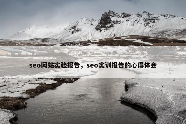 seo网站实验报告，seo实训报告的心得体会