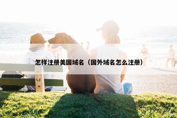 怎样注册美国域名（国外域名怎么注册）