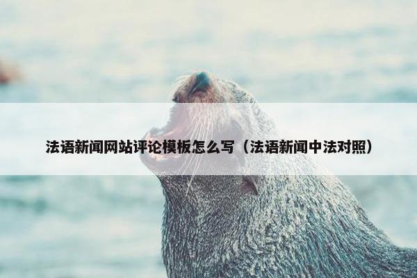 法语新闻网站评论模板怎么写（法语新闻中法对照）