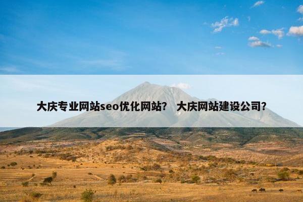 大庆专业网站seo优化网站？ 大庆网站建设公司？