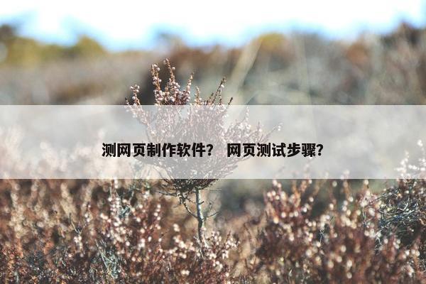 测网页制作软件？ 网页测试步骤？