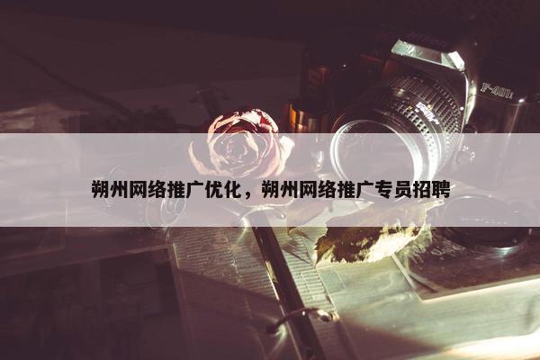 朔州网络推广优化，朔州网络推广专员招聘