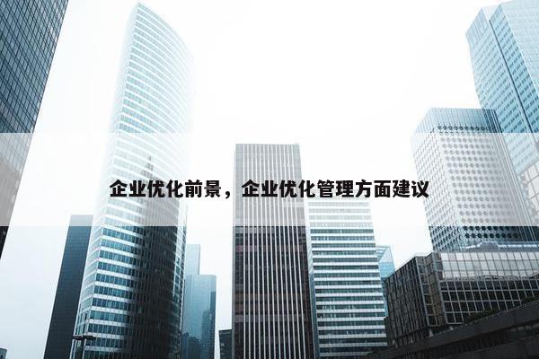 企业优化前景，企业优化管理方面建议