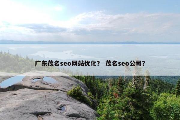 广东茂名seo网站优化？ 茂名seo公司？