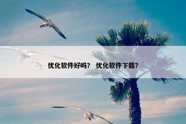优化软件好吗？ 优化软件下载？