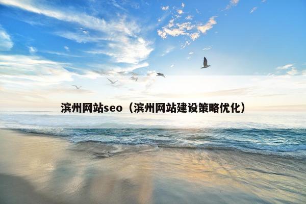滨州网站seo（滨州网站建设策略优化）