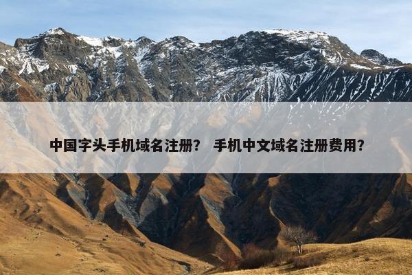 中国字头手机域名注册？ 手机中文域名注册费用？