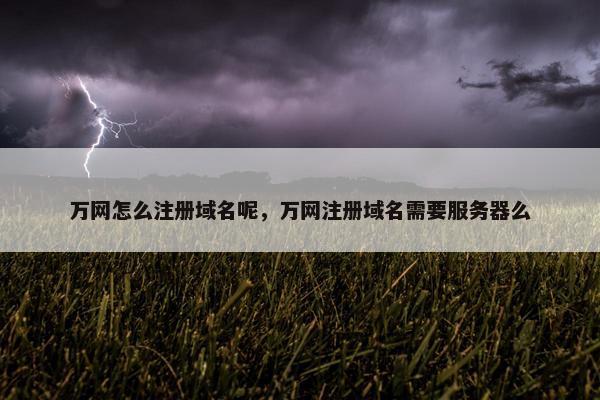万网怎么注册域名呢，万网注册域名需要服务器么