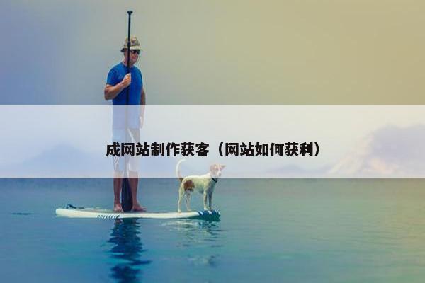 成网站制作获客（网站如何获利）