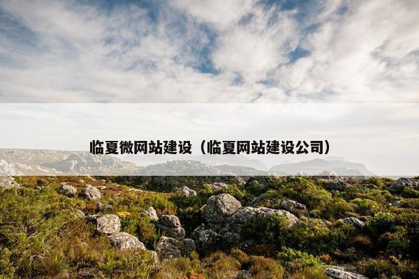 临夏微网站建设（临夏网站建设公司）