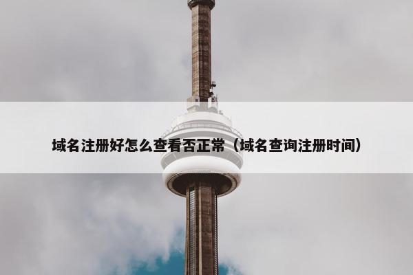 域名注册好怎么查看否正常（域名查询注册时间）