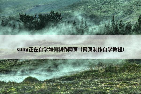 suny正在自学如何制作网页（网页制作自学教程）