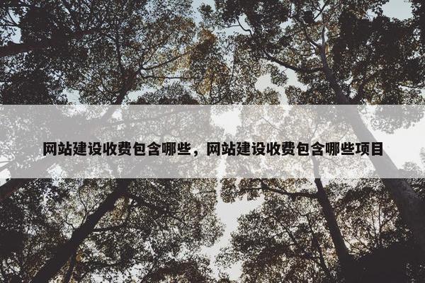 网站建设收费包含哪些，网站建设收费包含哪些项目