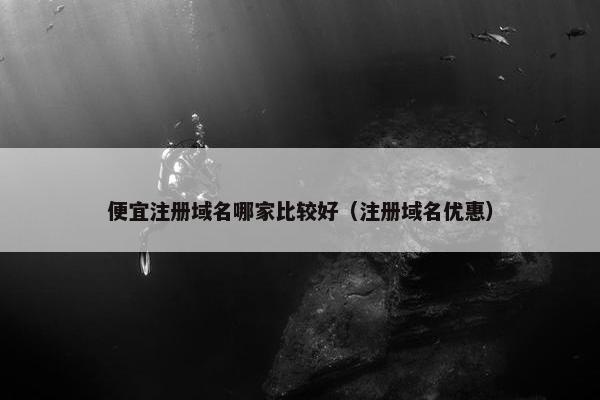 便宜注册域名哪家比较好（注册域名优惠）