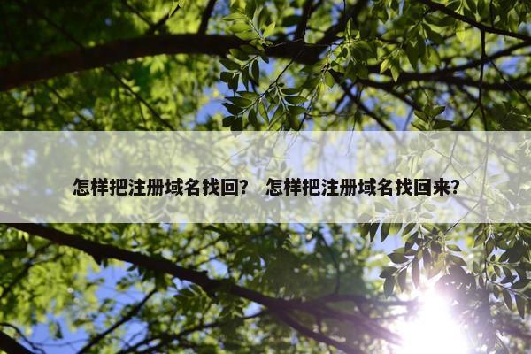 怎样把注册域名找回？ 怎样把注册域名找回来？