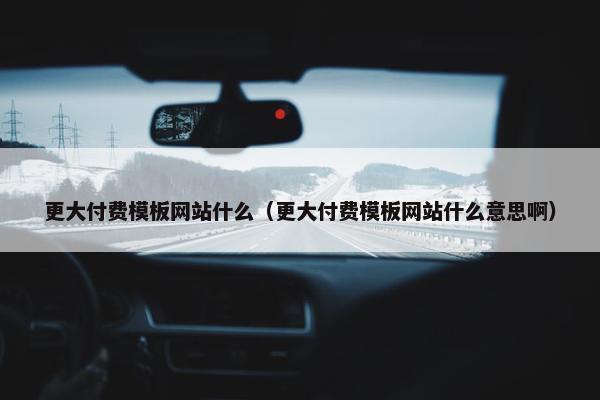 更大付费模板网站什么（更大付费模板网站什么意思啊）