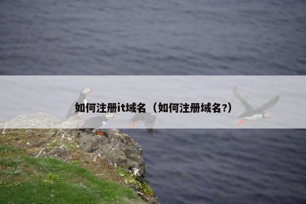 如何注册it域名（如何注册域名?）