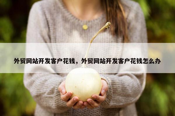 外贸网站开发客户花钱，外贸网站开发客户花钱怎么办