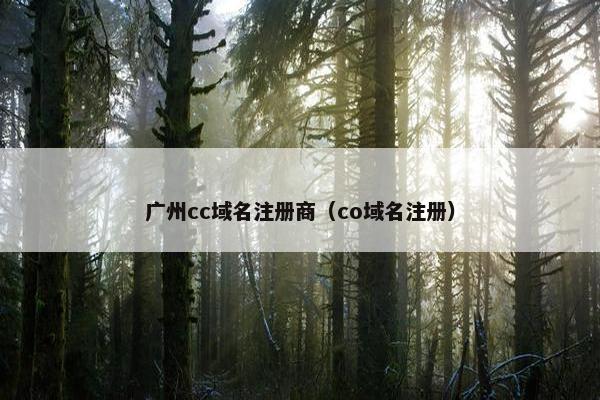 广州cc域名注册商（co域名注册）
