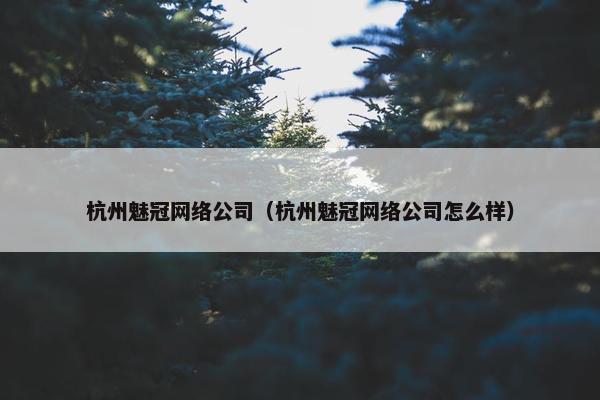 杭州魅冠网络公司（杭州魅冠网络公司怎么样）