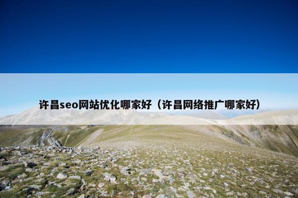 许昌seo网站优化哪家好（许昌网络推广哪家好）