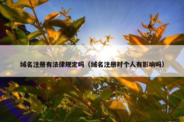 域名注册有法律规定吗（域名注册对个人有影响吗）