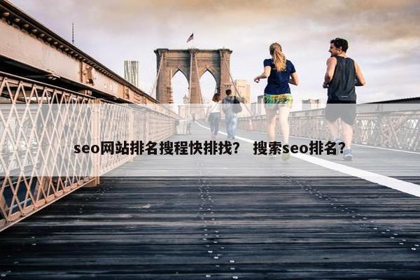 seo网站排名搜程快排找？ 搜索seo排名？