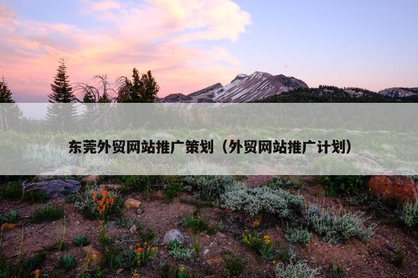 东莞外贸网站推广策划（外贸网站推广计划）
