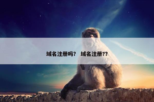 域名注册吗？ 域名注册?？