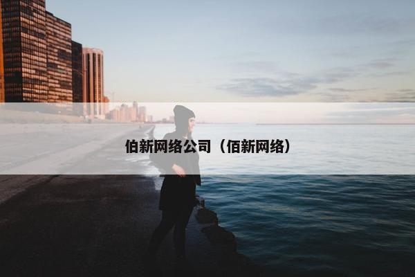 伯新网络公司（佰新网络）