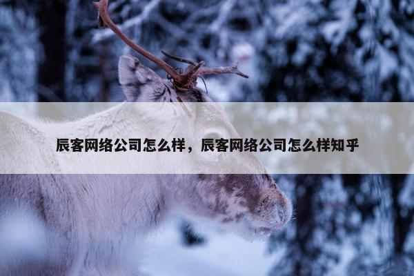 辰客网络公司怎么样，辰客网络公司怎么样知乎