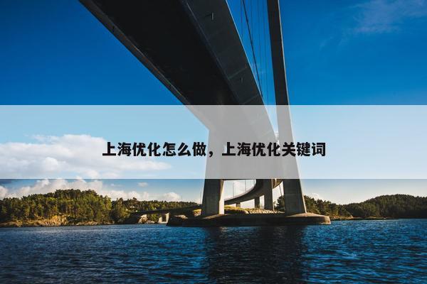 上海优化怎么做，上海优化关键词