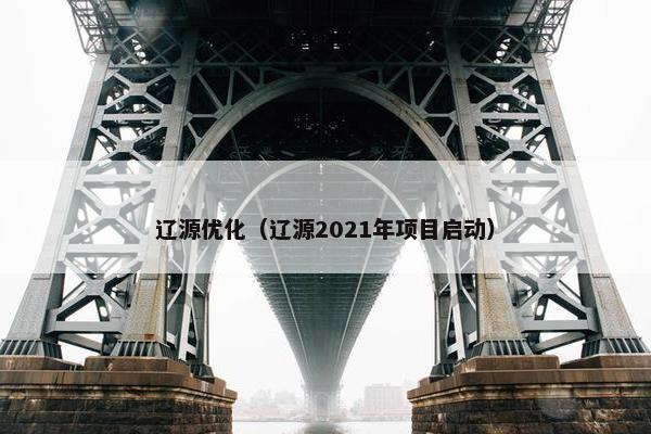 辽源优化（辽源2021年项目启动）
