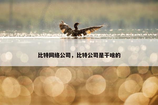 比特网络公司，比特公司是干啥的