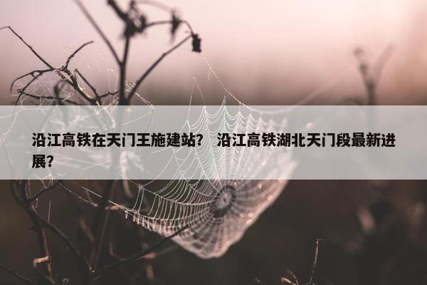 沿江高铁在天门王施建站？ 沿江高铁湖北天门段最新进展？