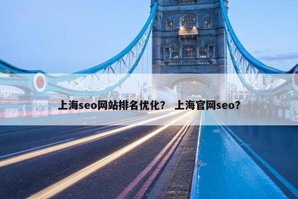 上海seo网站排名优化？ 上海官网seo？