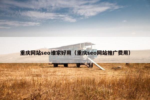 重庆网站seo谁家好用（重庆seo网站推广费用）