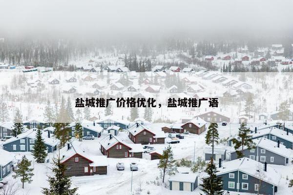 盐城推广价格优化，盐城推广语