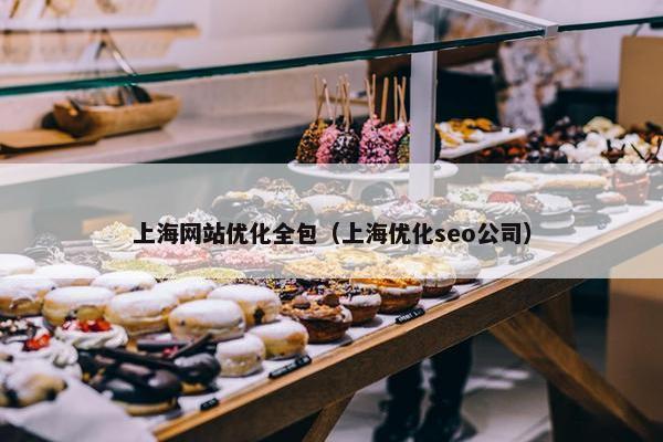 上海网站优化全包（上海优化seo公司）