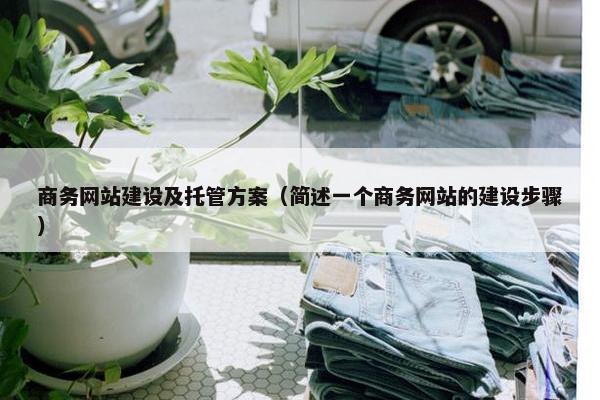 商务网站建设及托管方案（简述一个商务网站的建设步骤）